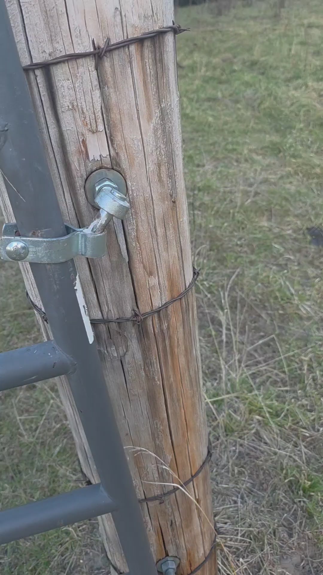 Wood Post Gate Hinge Set (2)
